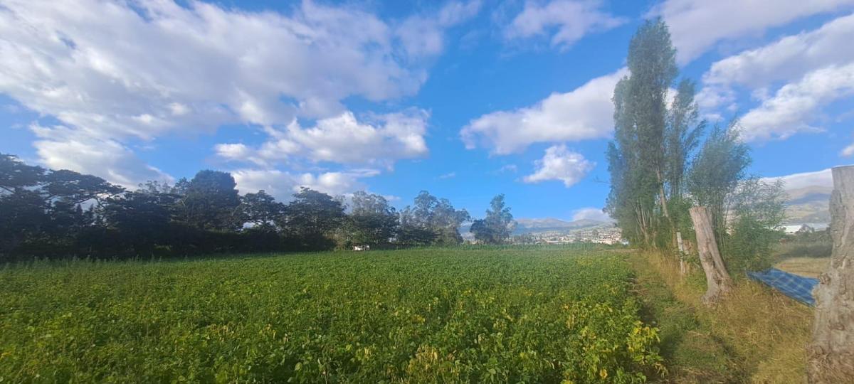 Vendo Terreno Agrícola Yaruquí Sector San Rafael Frente 50 m 9.500 m² — imagen 5