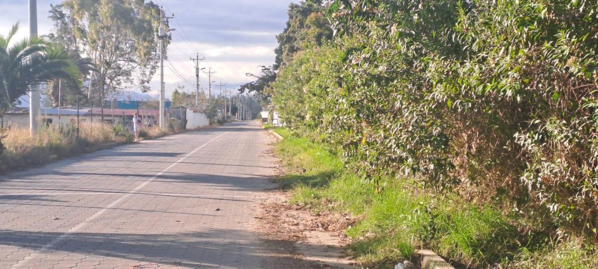 Vendo Terreno Agrícola Yaruquí Sector San Rafael Frente 50 m 9.500 m² — imagen 2