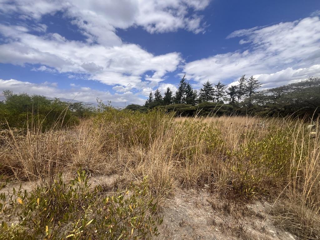 Terreno Campestre de 4,800 m² en Tanda de Tabacundo — imagen 6