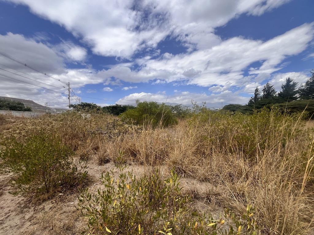 Terreno Campestre de 4,800 m² en Tanda de Tabacundo — imagen 5