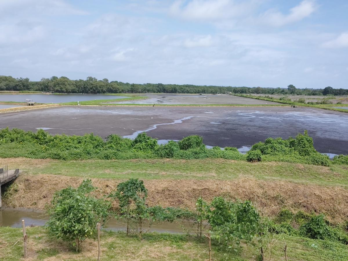 Camaronera en Venta en Muisne — imagen 2