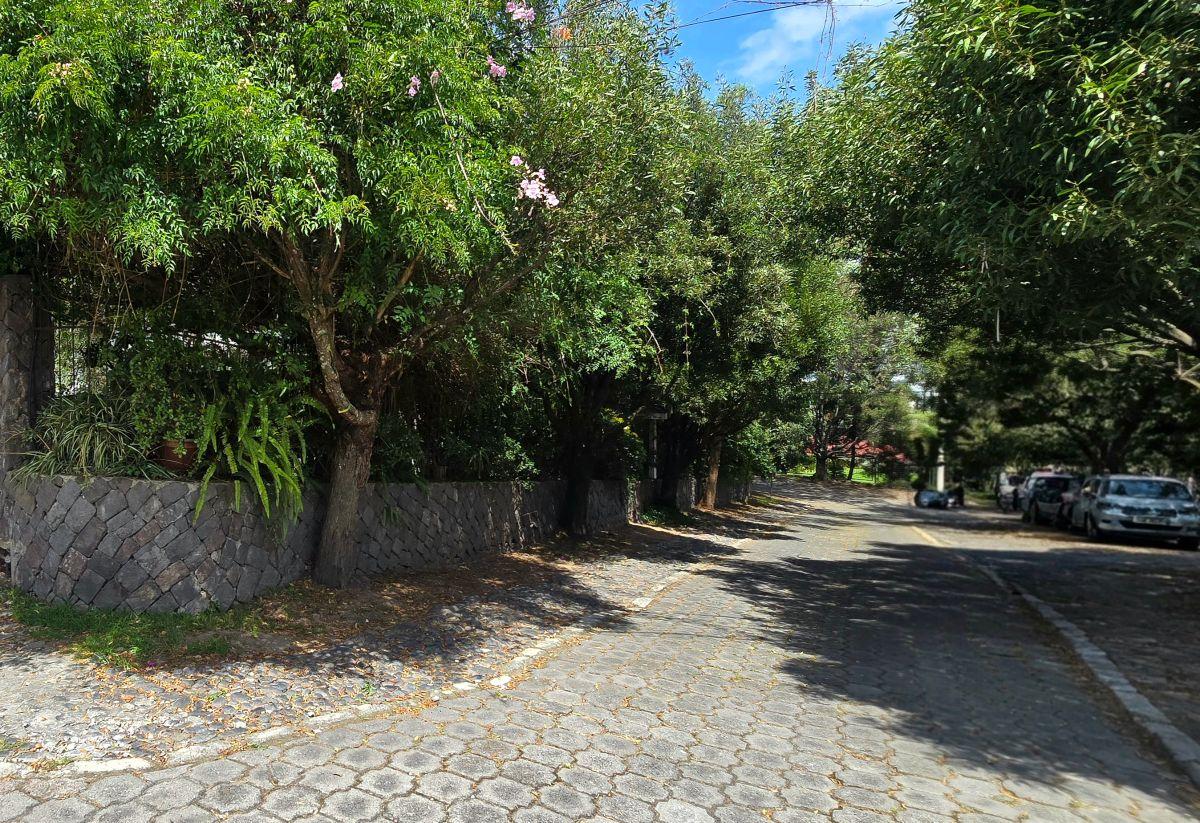 Venta, Cumbayá, Propiedad con Amplio Jardín, Oportunidad! — imagen 6