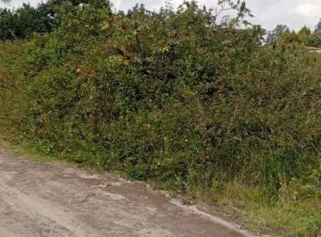 Terreno en Puembo, Tras Holiday In — imagen 4
