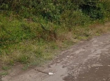Terreno en Puembo, Tras Holiday In — imagen 2