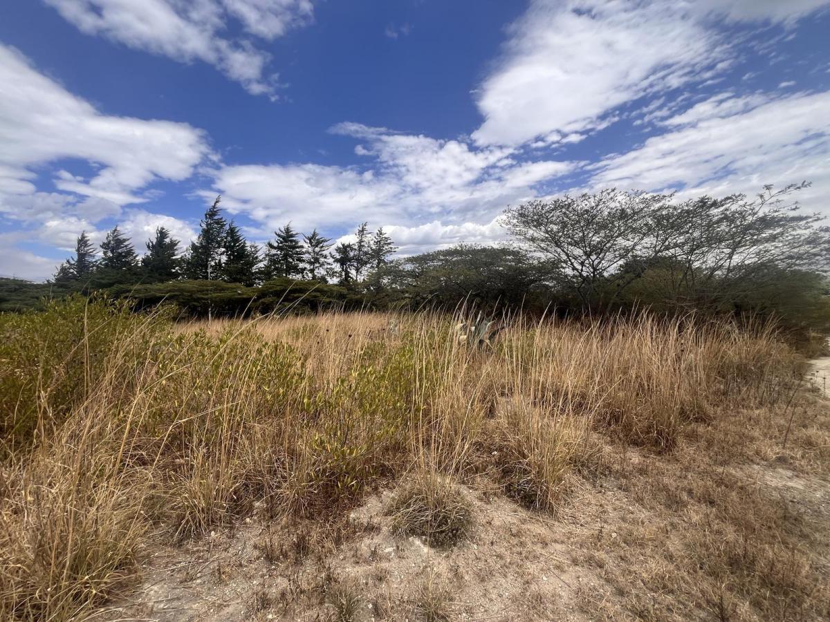 Exclusivos Lotes Campestres de 1200 m² en Tabacundo Tanda — imagen 8