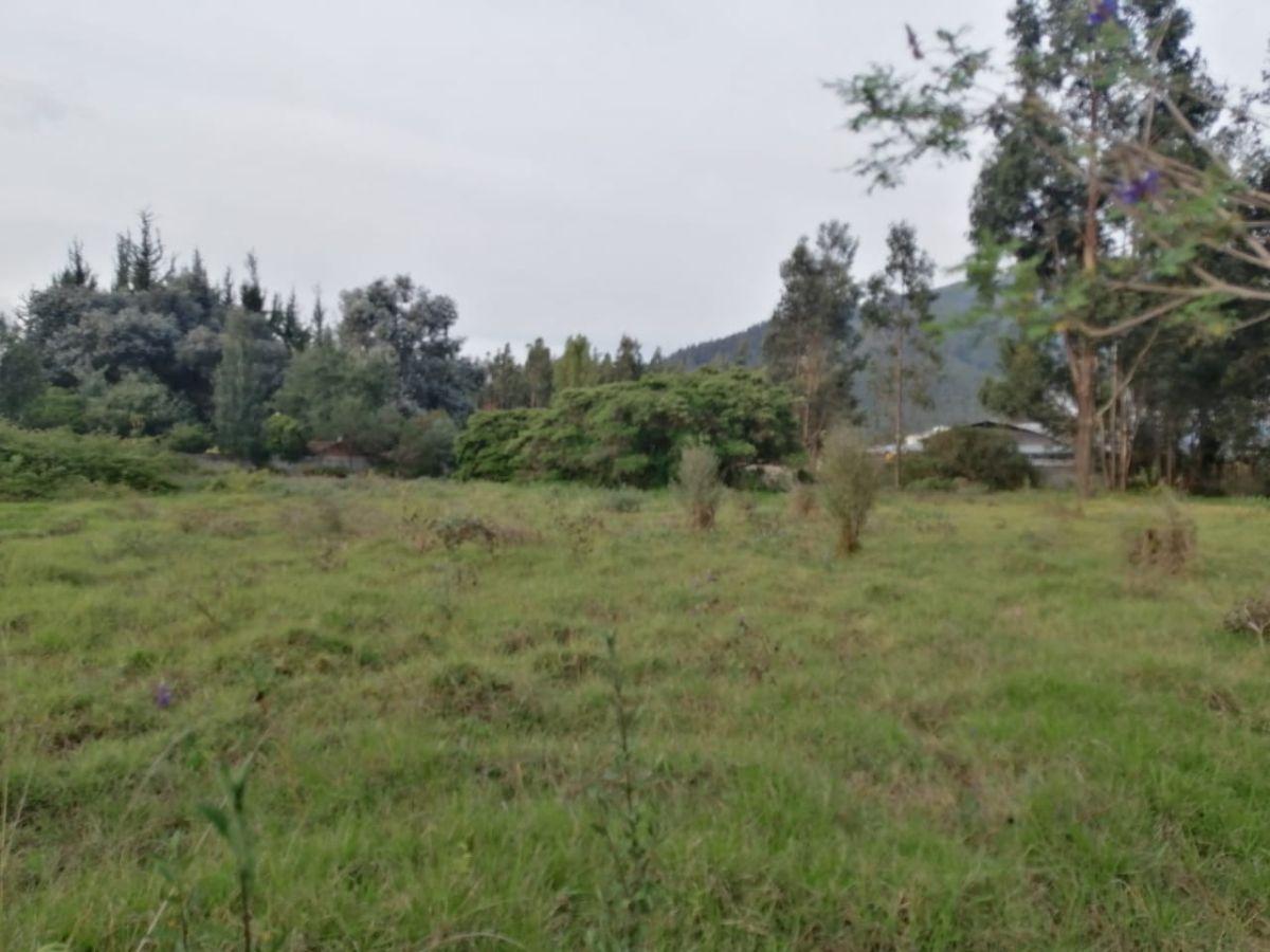 Vendo Terreno Plano de Oportunidad Para Proyecto Inmobiliario, Colegio, Asilo — imagen 6