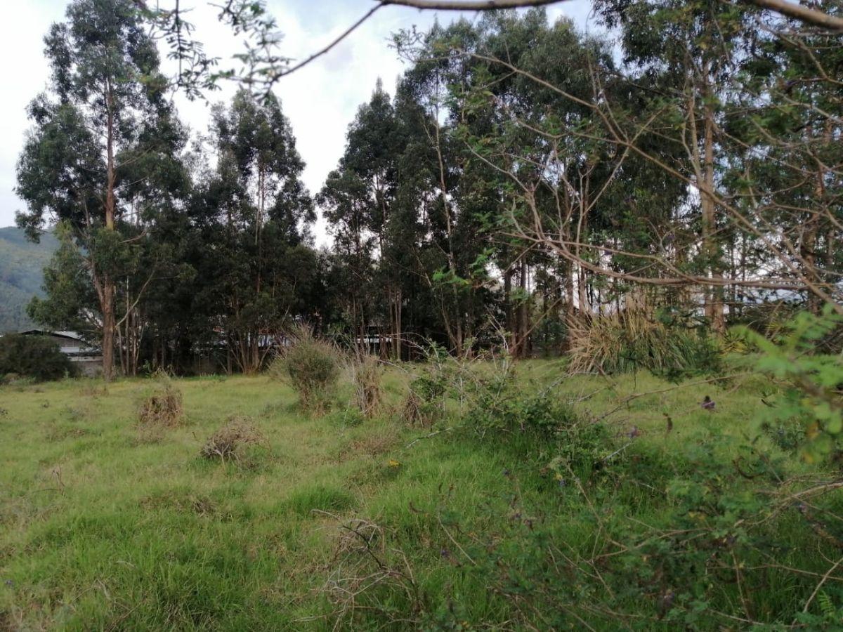 Vendo Terreno Plano de Oportunidad Para Proyecto Inmobiliario, Colegio, Asilo — imagen 5