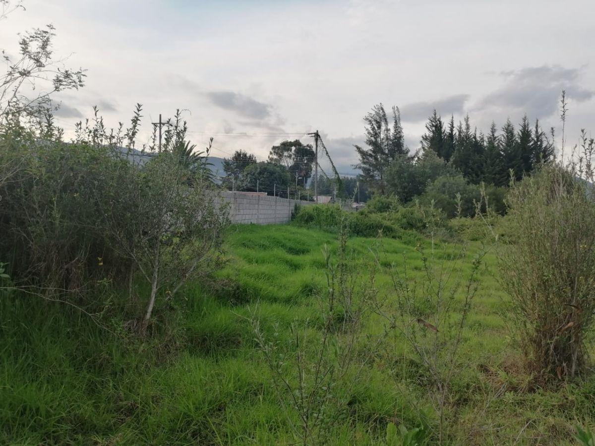 Vendo Terreno Plano de Oportunidad Para Proyecto Inmobiliario, Colegio, Asilo — imagen 4
