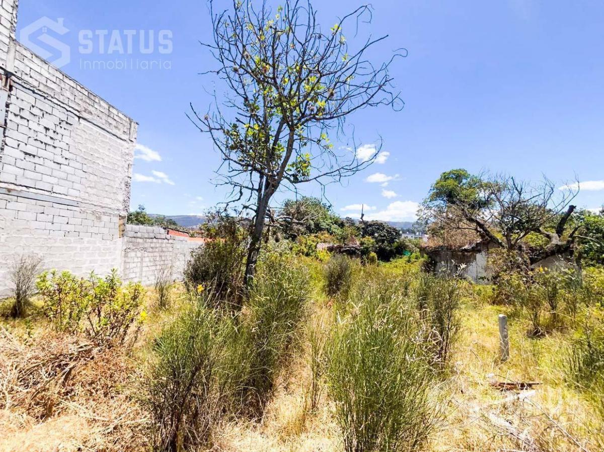 Venta de Terreno Independiente en La Armenia I Junto Al Liceo Naval — imagen 3