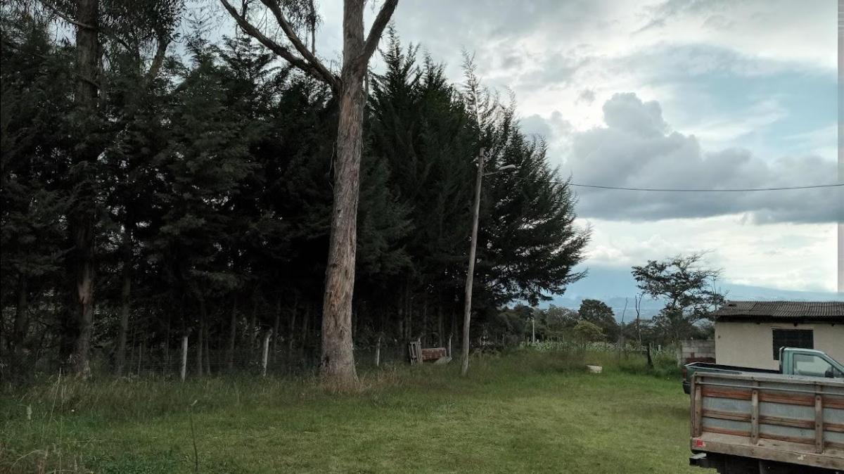 Vendo en Checa Excelente Terreno 1050 m² con Casa — imagen 8