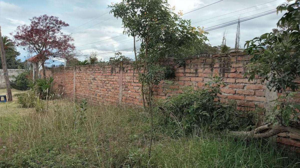 Vendo en Checa Excelente Terreno 1050 m² con Casa — imagen 6