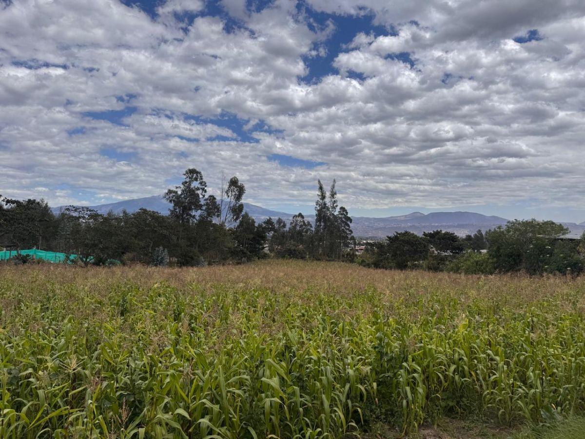 Terreno en Venta de 4.980 Yaruquí — imagen 10