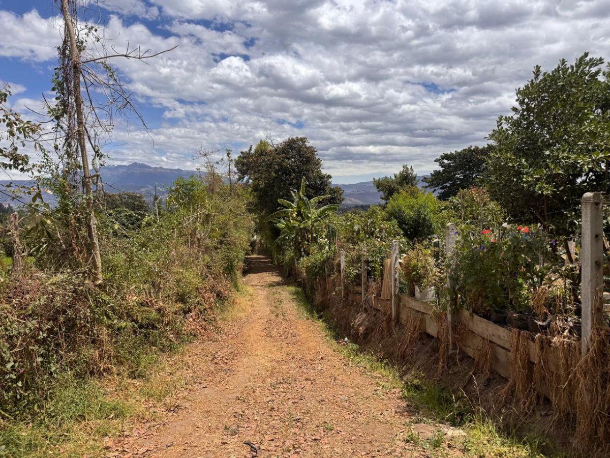 Terreno en Venta de 4.980 Yaruquí — imagen 8