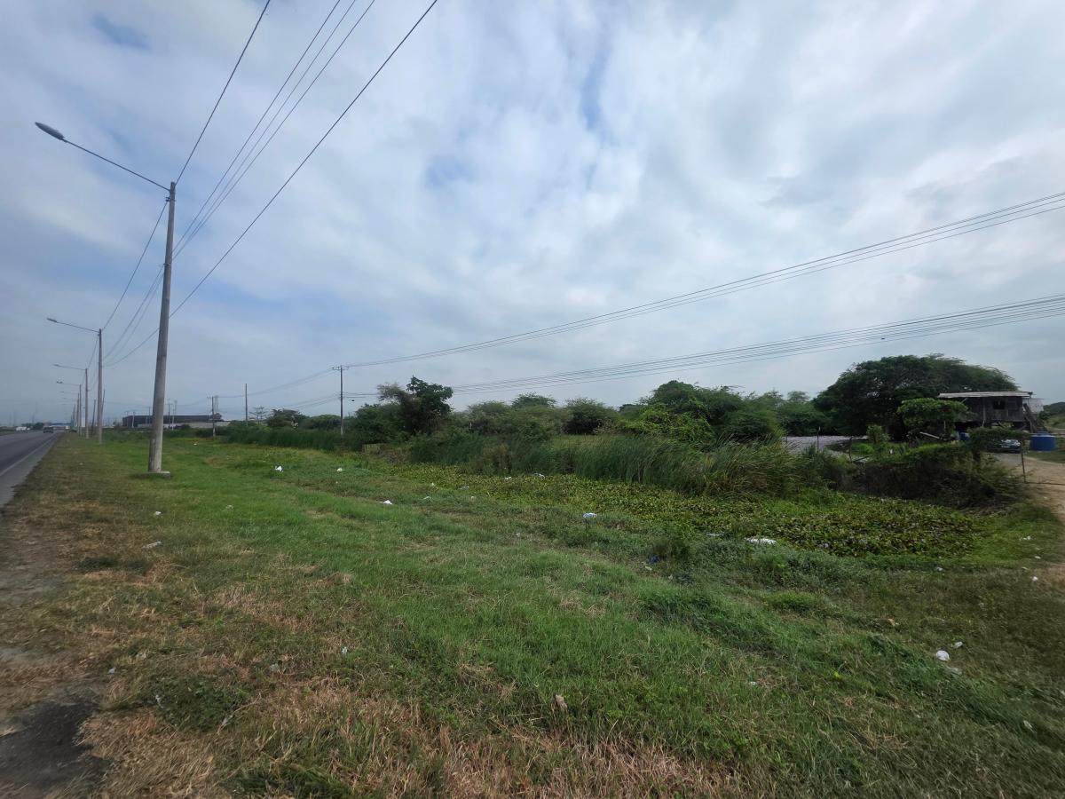 Vendo Propiedad Al Pie de La Via, via Duran Tambo, Km. 12, a Pocos m del Peaje, Guayas — imagen 8
