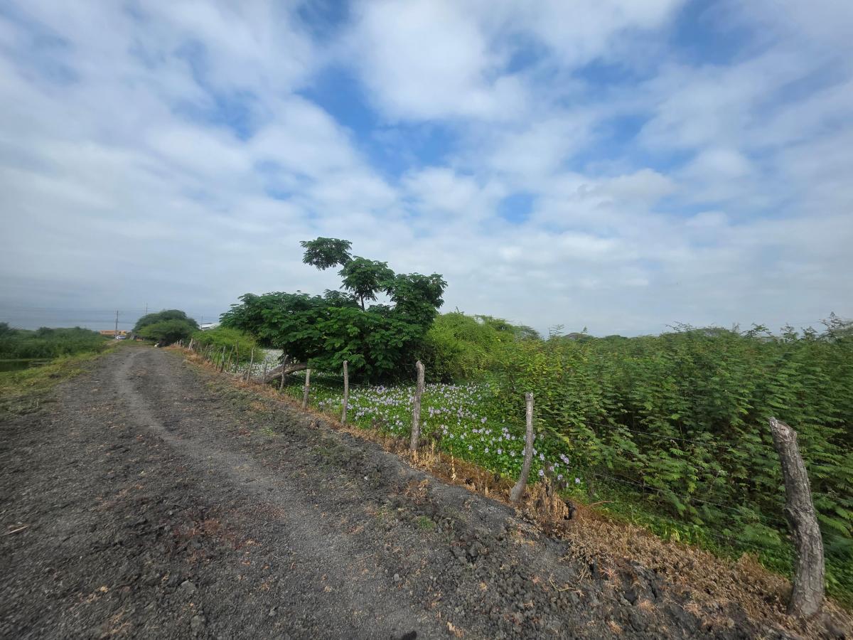 Vendo Propiedad Al Pie de La Via, via Duran Tambo, Km. 12, a Pocos m del Peaje, Guayas — imagen 4