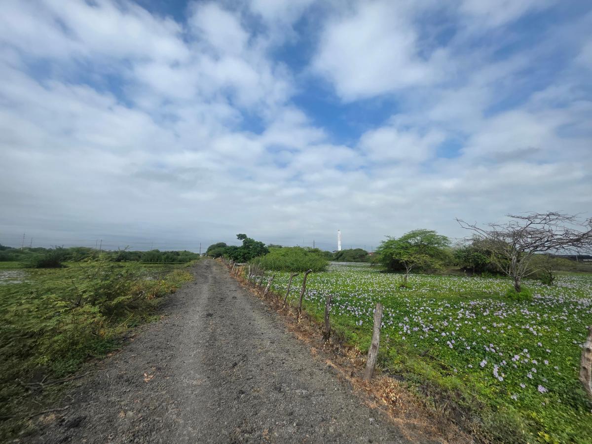 Vendo Propiedad Al Pie de La Via, via Duran Tambo, Km. 12, a Pocos m del Peaje, Guayas — imagen 3