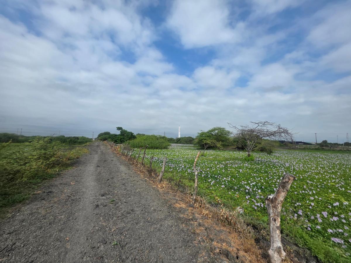 Vendo Propiedad Al Pie de La Via, via Duran Tambo, Km. 12, a Pocos m del Peaje, Guayas — imagen 2