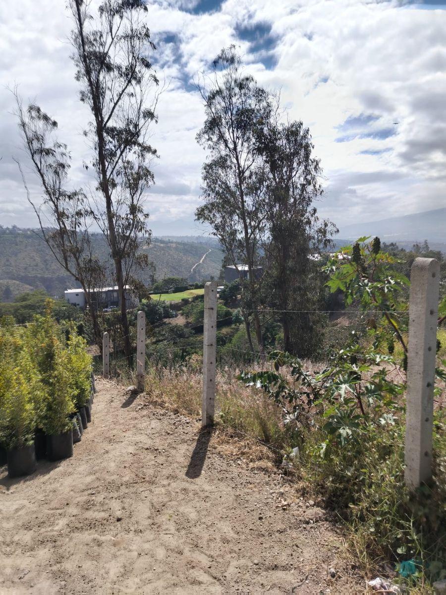 En Venta Terreno en Nayón — imagen 4