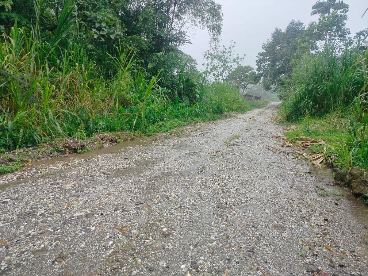 Terreno en Venta, Caserío El Porvenir, Puyo, Pastaza — imagen 10