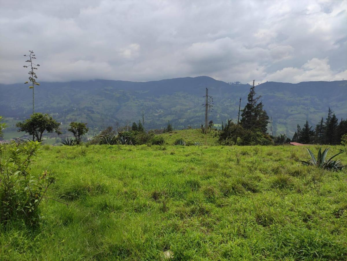 Terrenos de Venta en Azuay Zona Residencial, Sector Cachiloma, Azuay — imagen 7