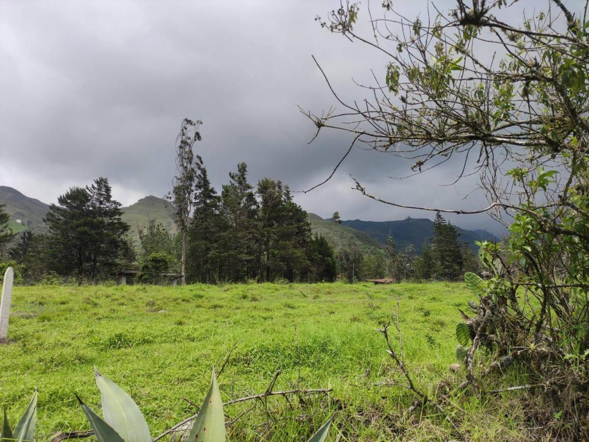 Terrenos de Venta en Azuay Zona Residencial, Sector Cachiloma, Azuay — imagen 3