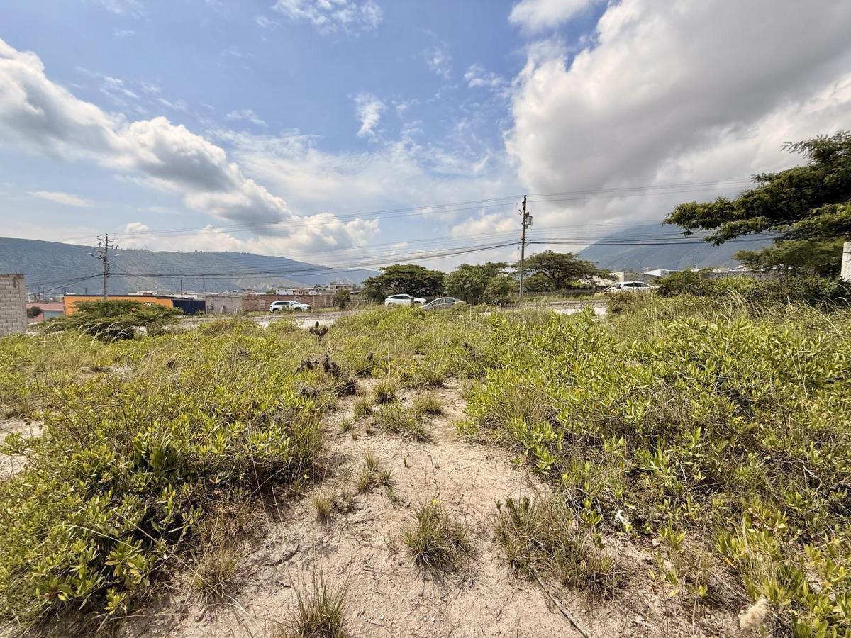 Vendo Terreno de 2.850 m² en San Antonio de Pichincha — imagen 6