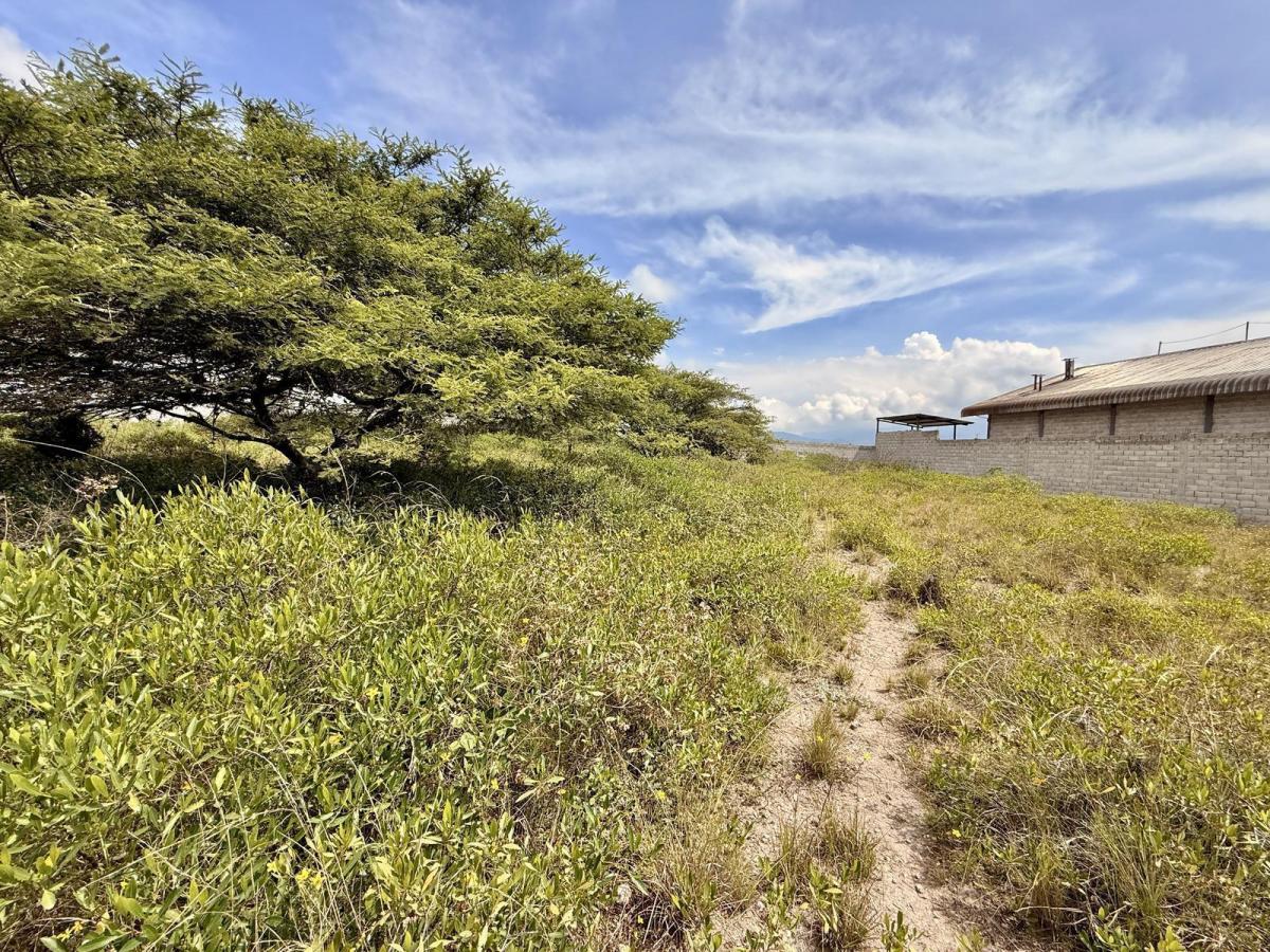 Vendo Terreno de 2.850 m² en San Antonio de Pichincha — imagen 5