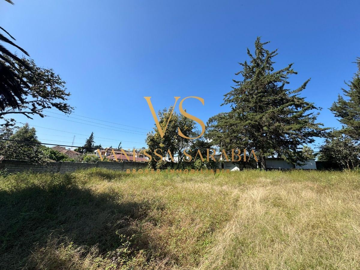 Terreno de 1680 m² Mas Casa de Venta en El Sector de Tumbaco — imagen 6