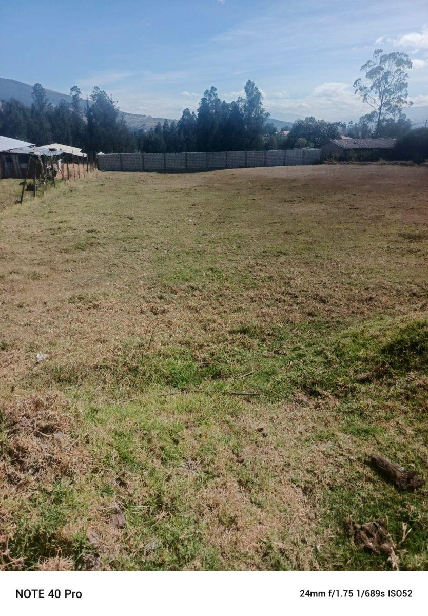 Venta Terreno La Merced 2.011 m² — imagen 10