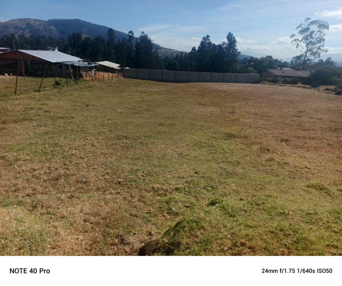 Venta Terreno La Merced 2.011 m² — imagen 9