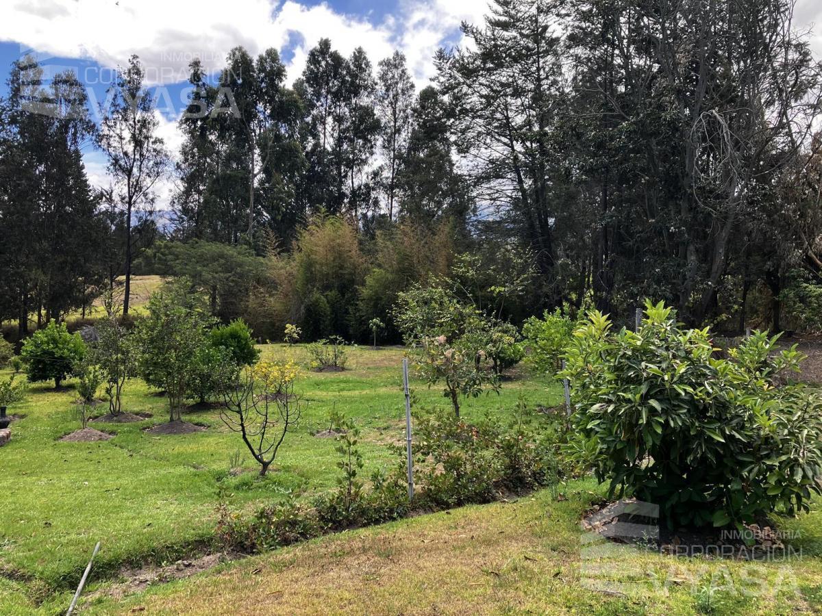 Tumbaco - La Cerámica, Excelente Terreno de 2.000 m² en Venta — imagen 10