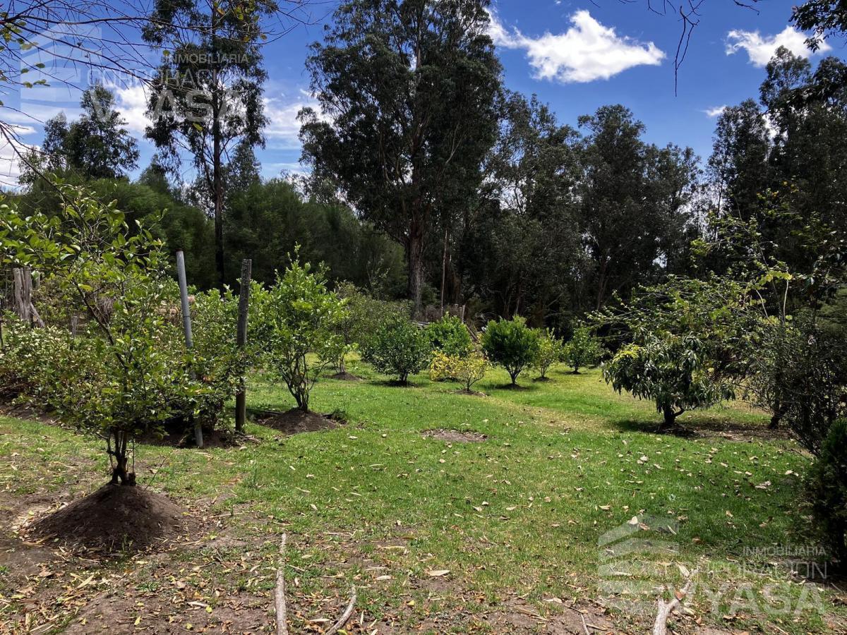 Tumbaco - La Cerámica, Excelente Terreno de 2.000 m² en Venta — imagen 7