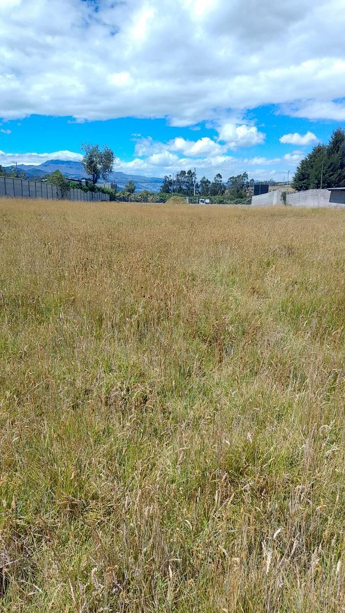 Terreno en Renta Parque Industrial del Sur — imagen 4