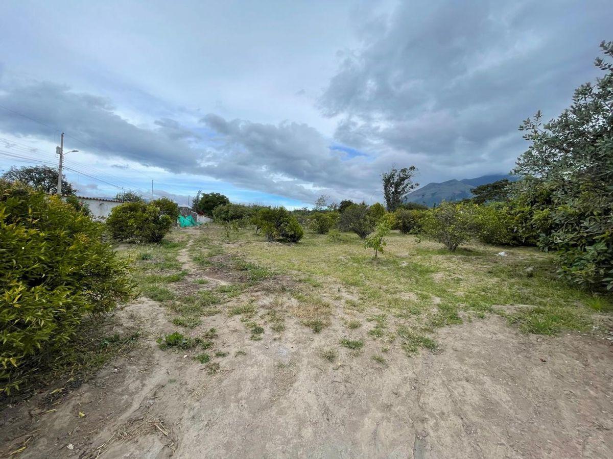 Venta de Terrenos en San José de Chaltura – Ibarra, Imbabura — imagen 2