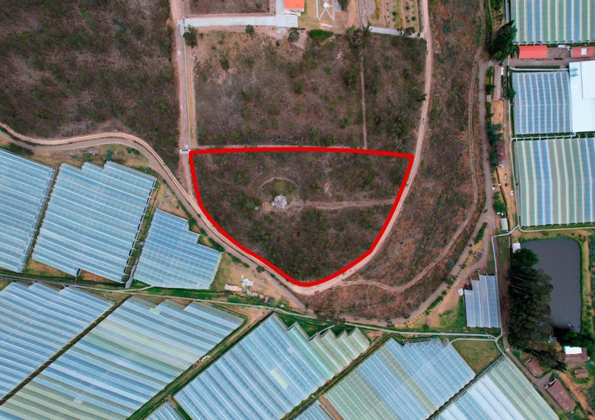 Terreno en Venta en Cangahua — imagen 7