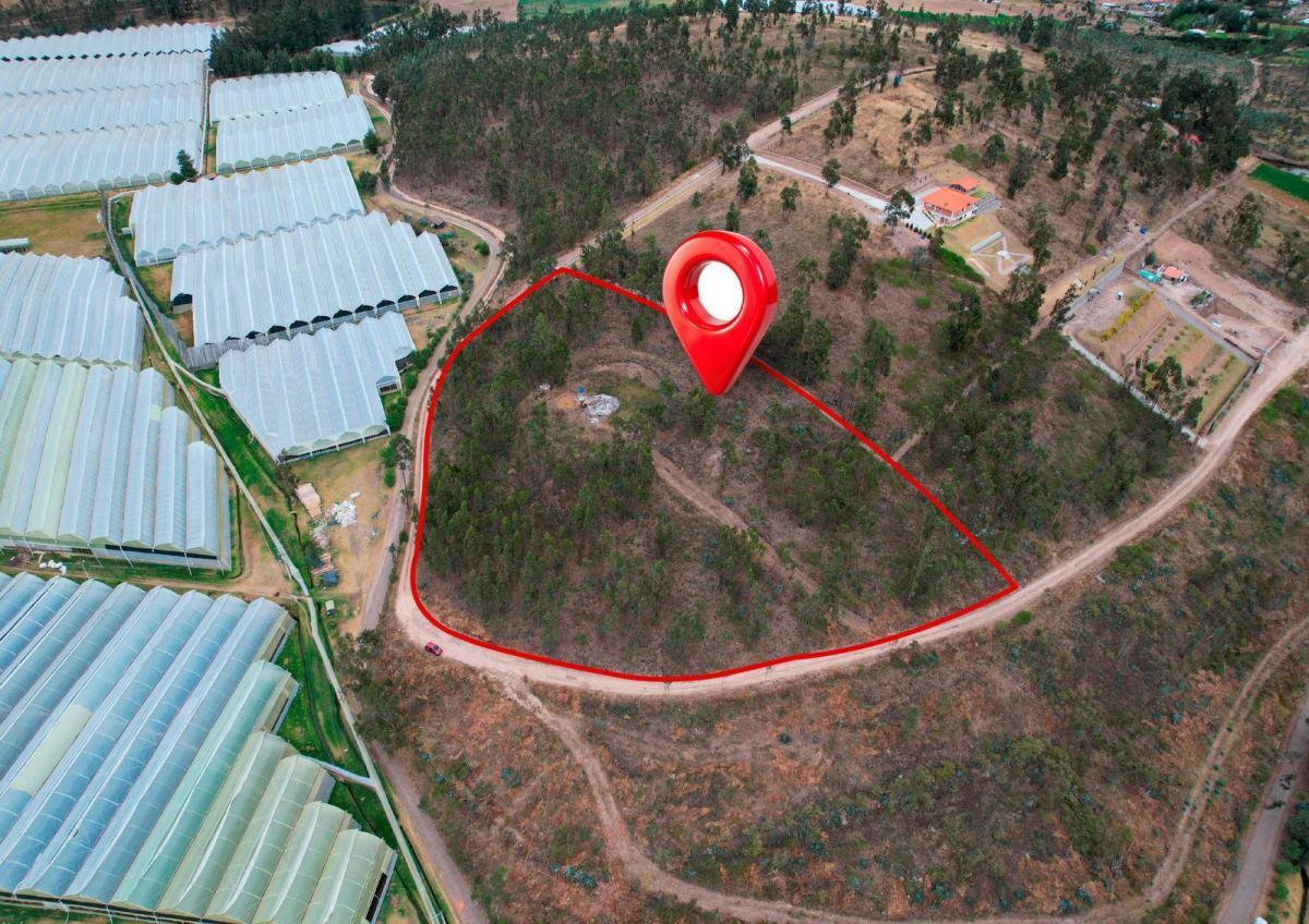 Terreno en Venta en Cangahua — imagen 5