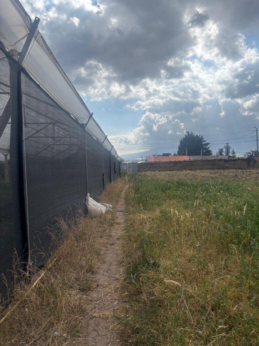 Lote de Terreno en Venta Cayambe — imagen 5