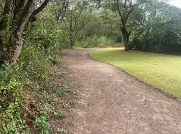 Vendo Lote de Terreno en Tumbaco Urbanización de Lujo — imagen 3