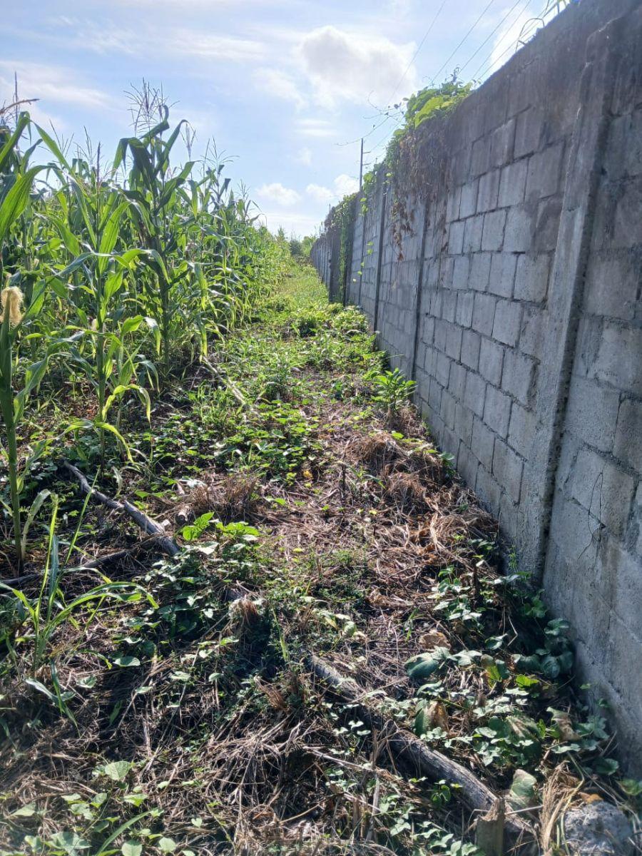 Terrenos de Venta en Tonsupa – Via del Spondylus. Provincia de Esmeraldas — imagen 4