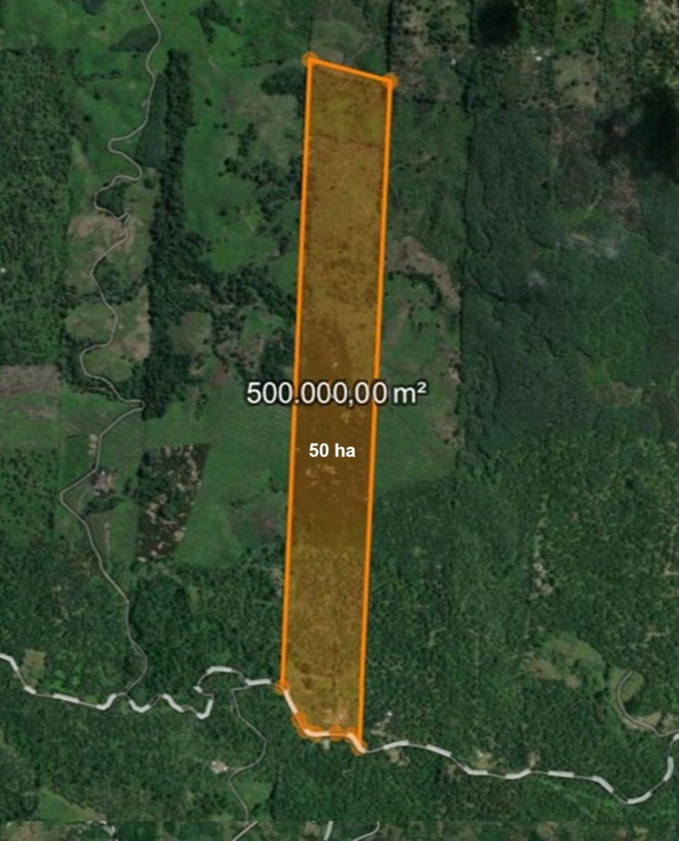 Se Vende Finca con Abacá en Produccion, en Monterrey - La Concordia - Santo Domingo - Ecuador — imagen 10