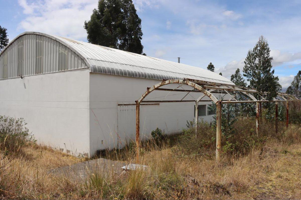 Venta Terreno con Galpon Industrial Tabacundo — imagen 5