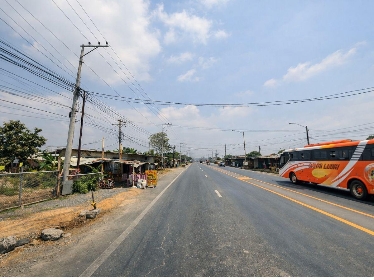 Terreno en Venta E 24 Ha en Vía a Daule, Entre Km²0 - 30, Guayas — imagen 5