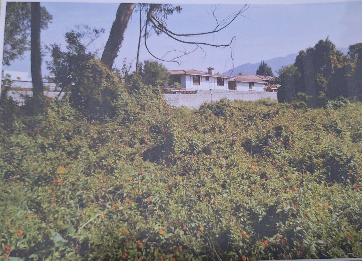 Terreno de Venta, San Gabriel (Sec. Patos Pizza) Calle Pastaza — imagen 3