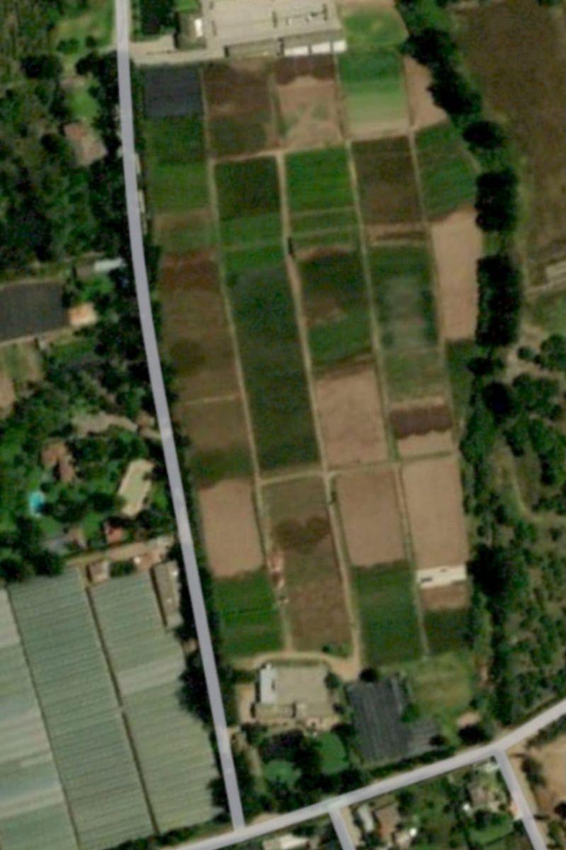 Checa, Vendo Terreno 25.000 m² Terreno, con Sembrío de Flores, Futuro Inmobioiario, Sector Seguro — imagen 9