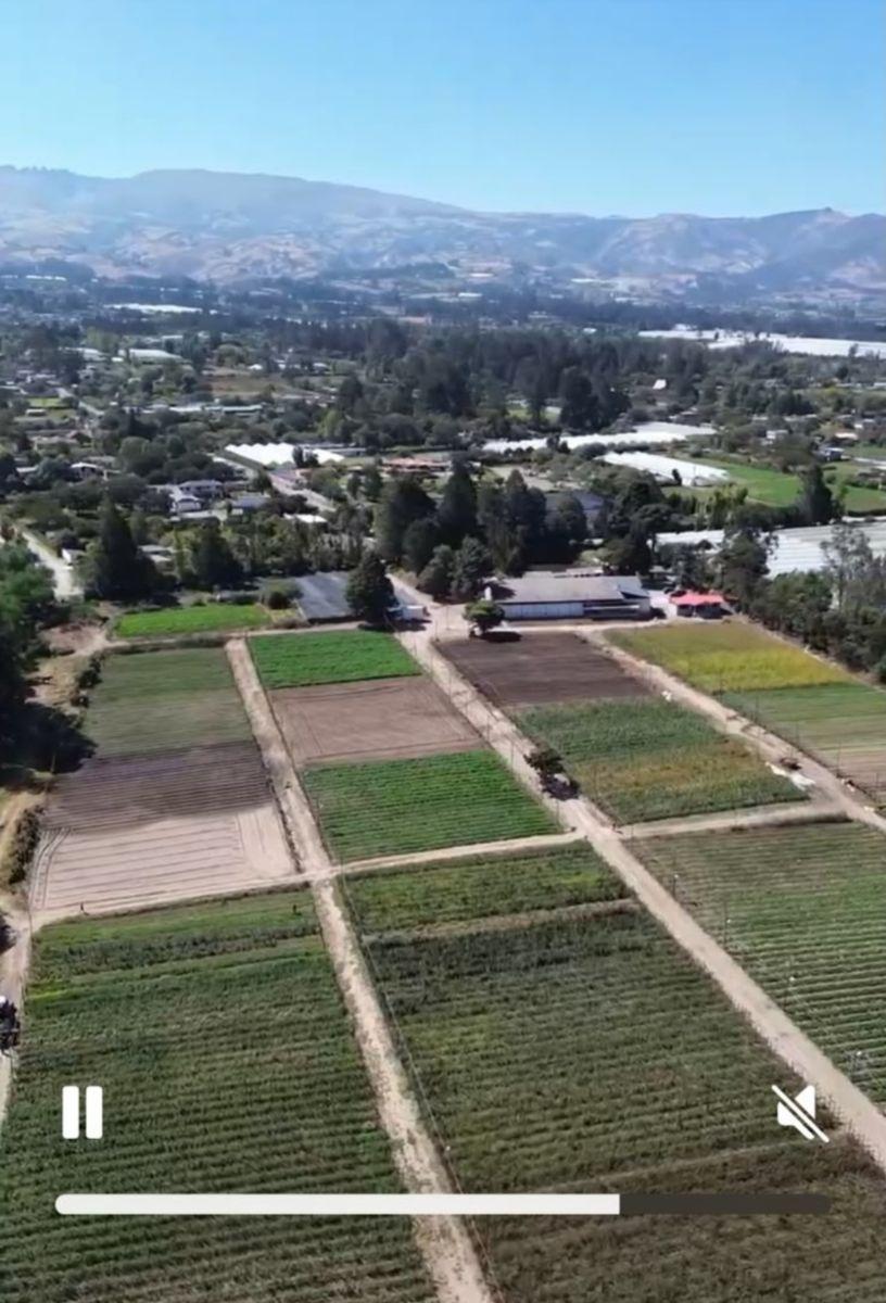 Checa, Vendo Terreno 25.000 m² Terreno, con Sembrío de Flores, Futuro Inmobioiario, Sector Seguro — imagen 7