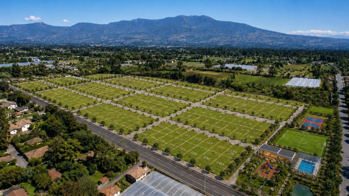 Checa, Vendo Terreno 25.000 m² Terreno, con Sembrío de Flores, Futuro Inmobioiario, Sector Seguro — imagen 5