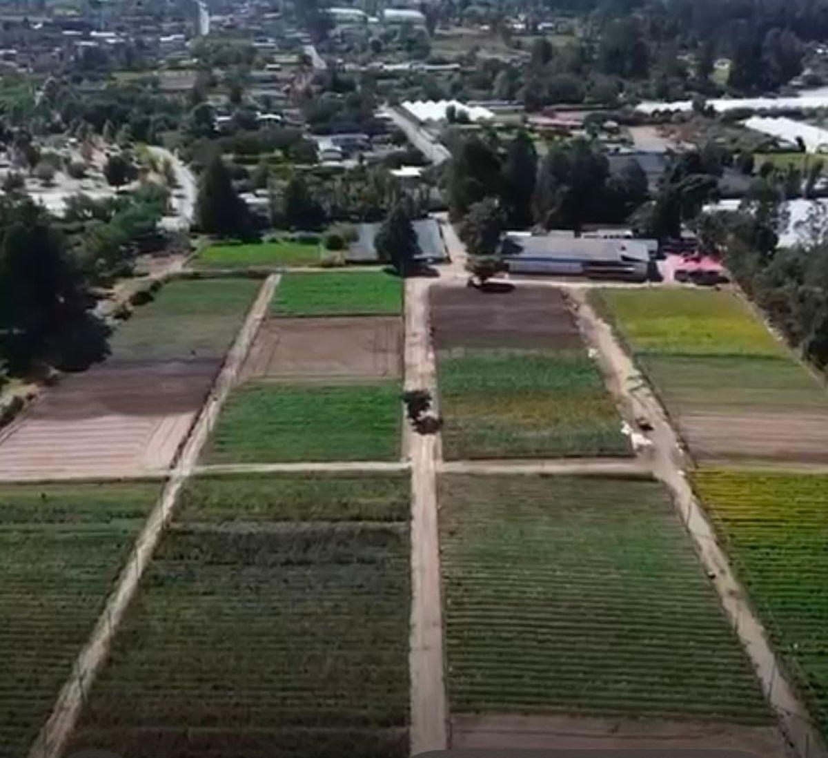 Checa, Vendo Terreno 25.000 m² Terreno, con Sembrío de Flores, Futuro Inmobioiario, Sector Seguro — imagen 4