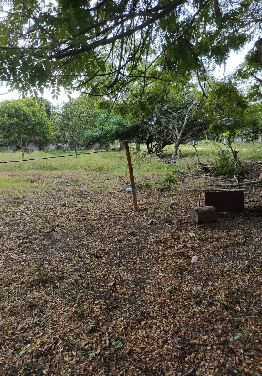 Inversión Estratégica en Tonsupa | Terreno 1.500 m² — imagen 4