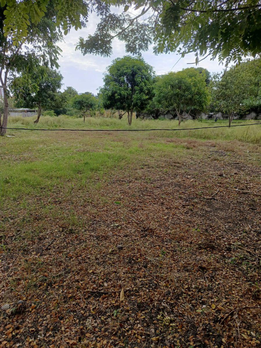 Inversión Estratégica en Tonsupa | Terreno 1.500 m² — imagen 2