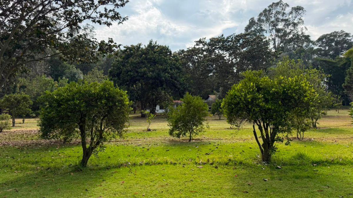 Terreno de Venta Sector de Puembo — imagen 10